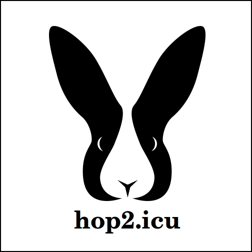 hop2.icu